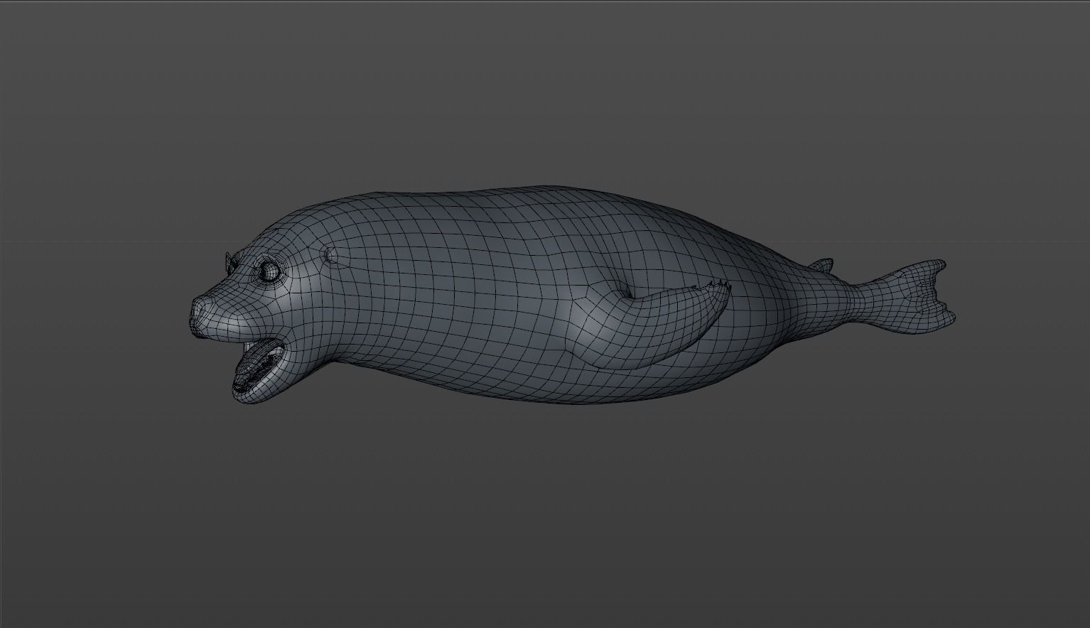 Common Seal 3D model_11