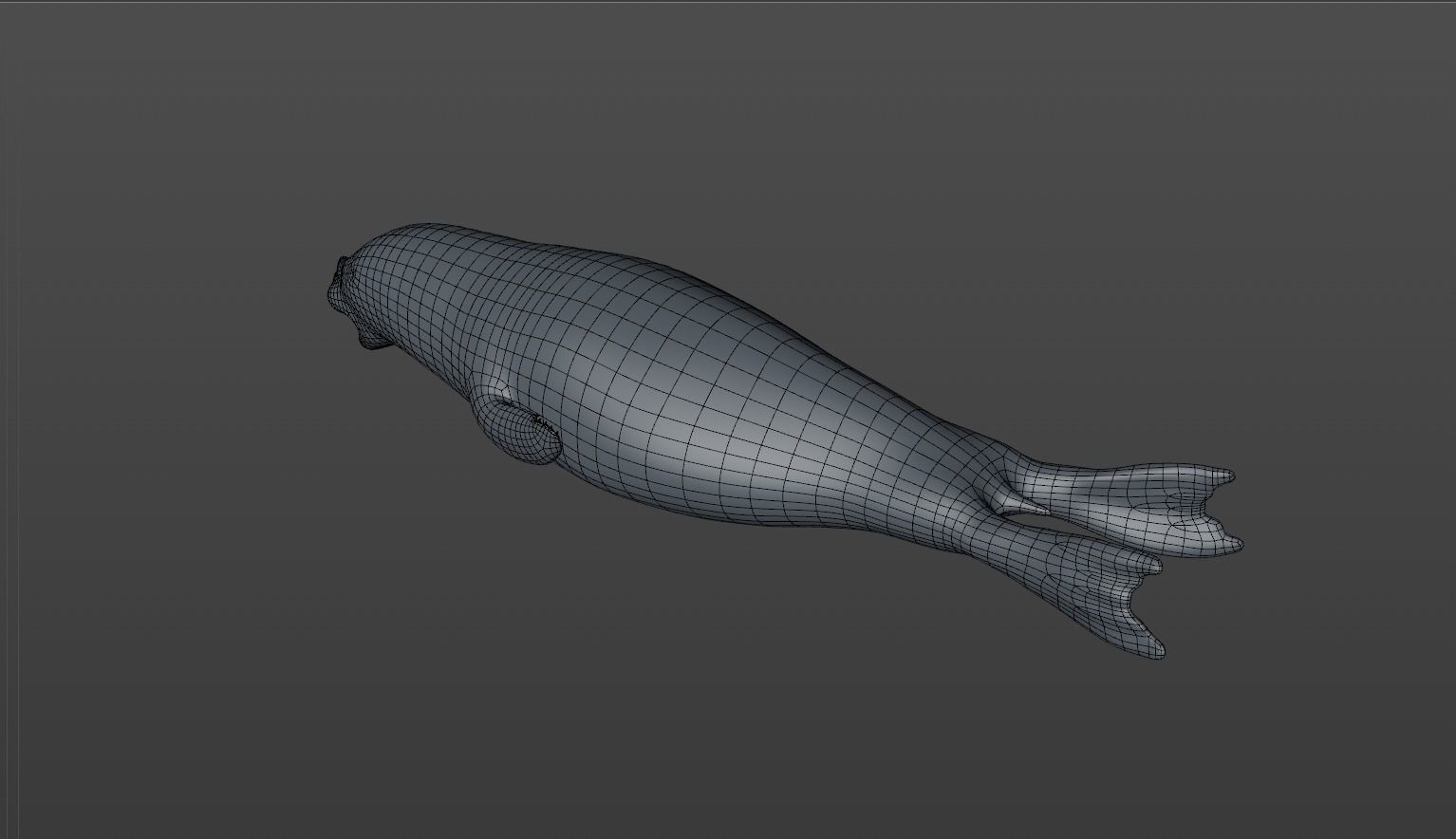 Common Seal 3D model_13
