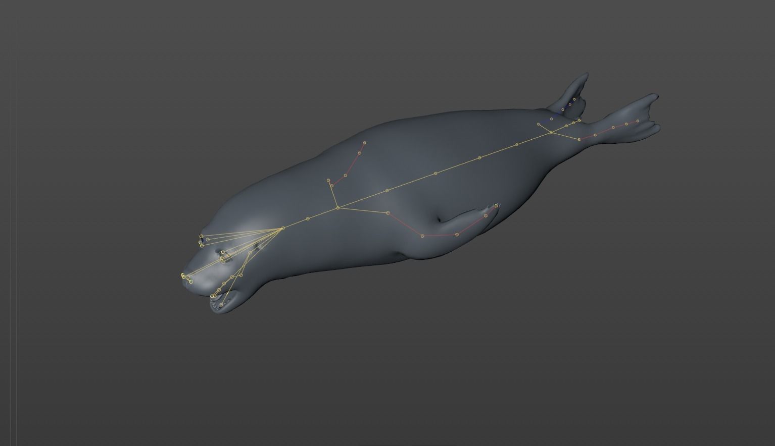 Common Seal 3D model_15