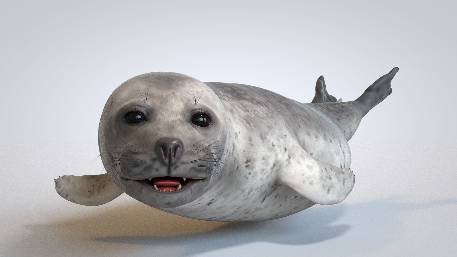 Common Seal 3D model_3