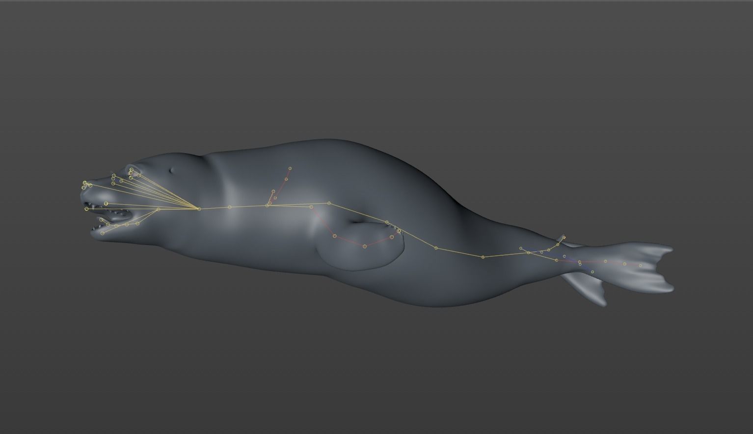 Common Seal 3D model_16