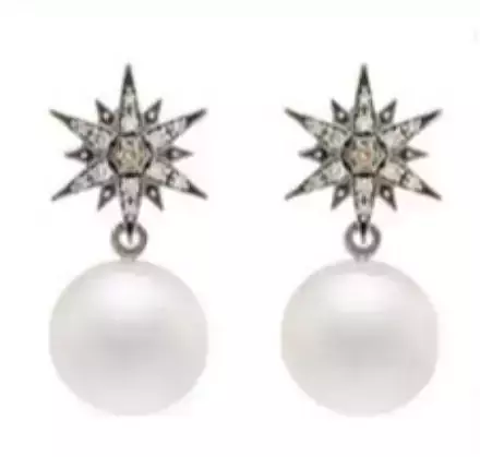 Stern earrings 3D print model