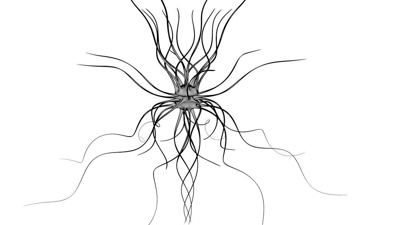 Fantasy Virus 3D model_12