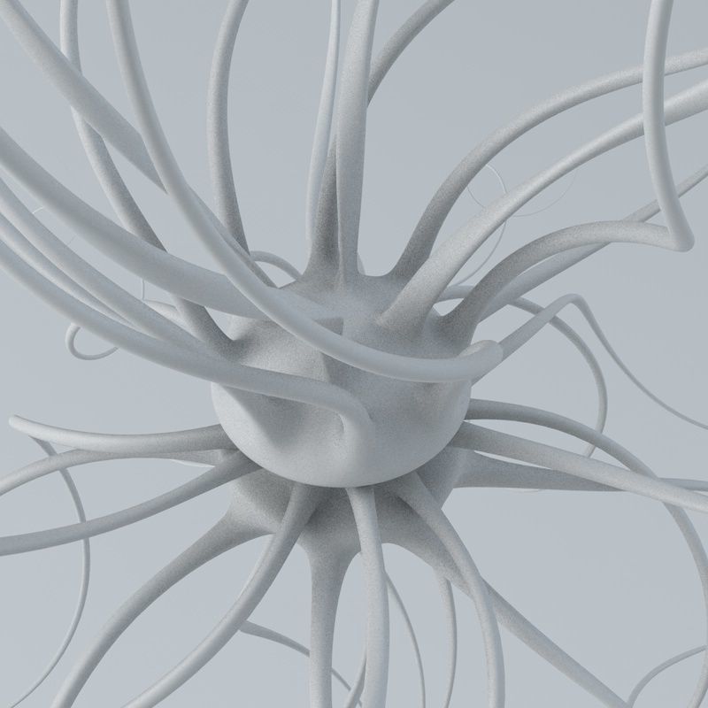 Fantasy Virus 3D model_11