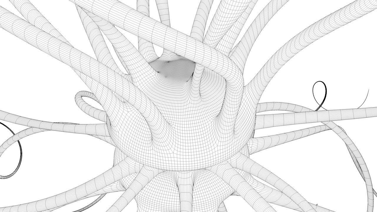 Fantasy Virus 3D model_14