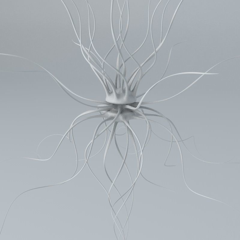 Fantasy Virus 3D model_9