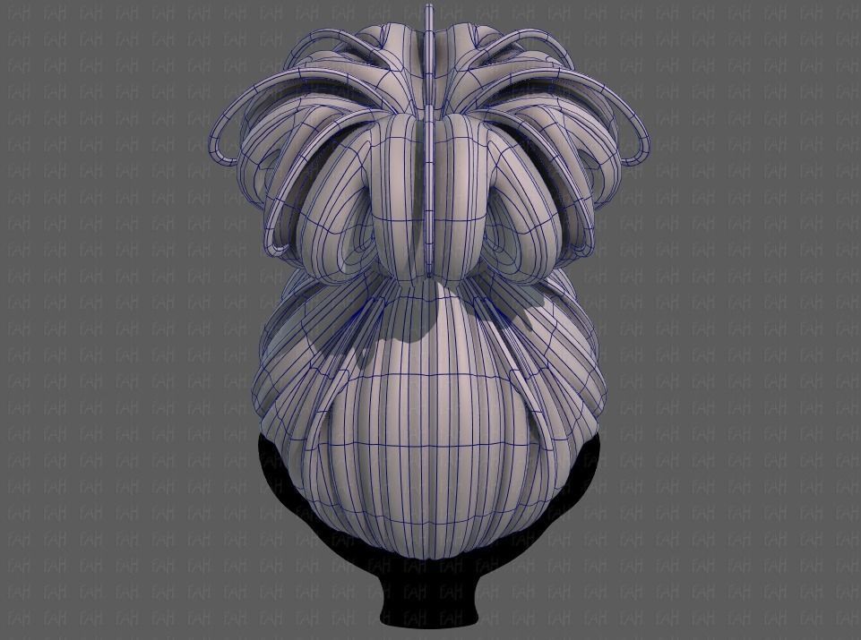 3D Hair style for girl V80 Low-poly 3D model_13