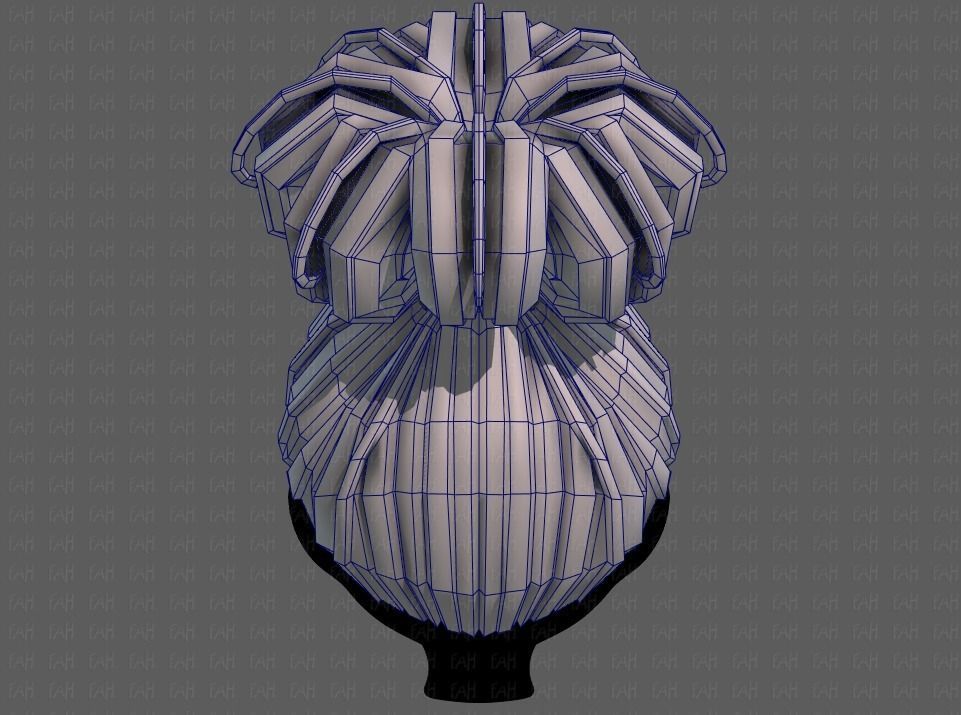 3D Hair style for girl V80 Low-poly 3D model_29