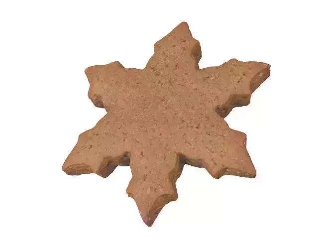 Photorealistic Gingerbread Snowflake 3D Scan 