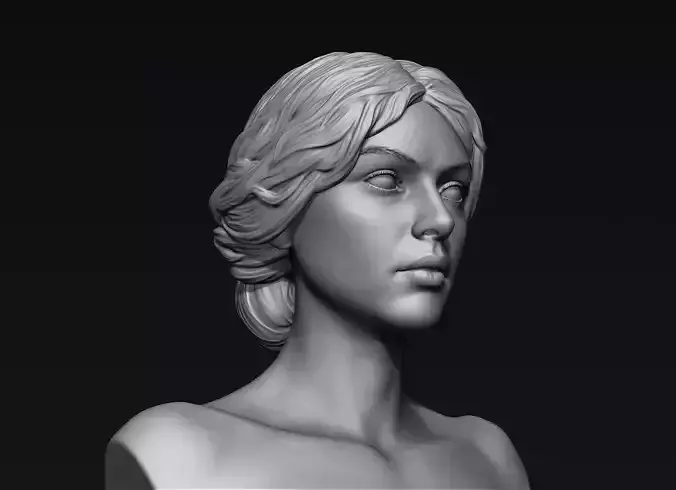 Hair 23 3D model