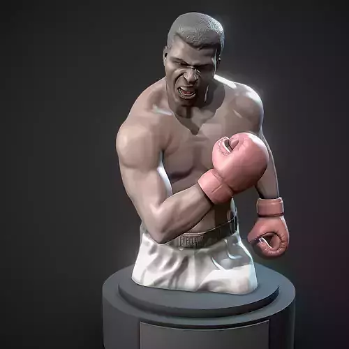 Boxer Ali 3D print model