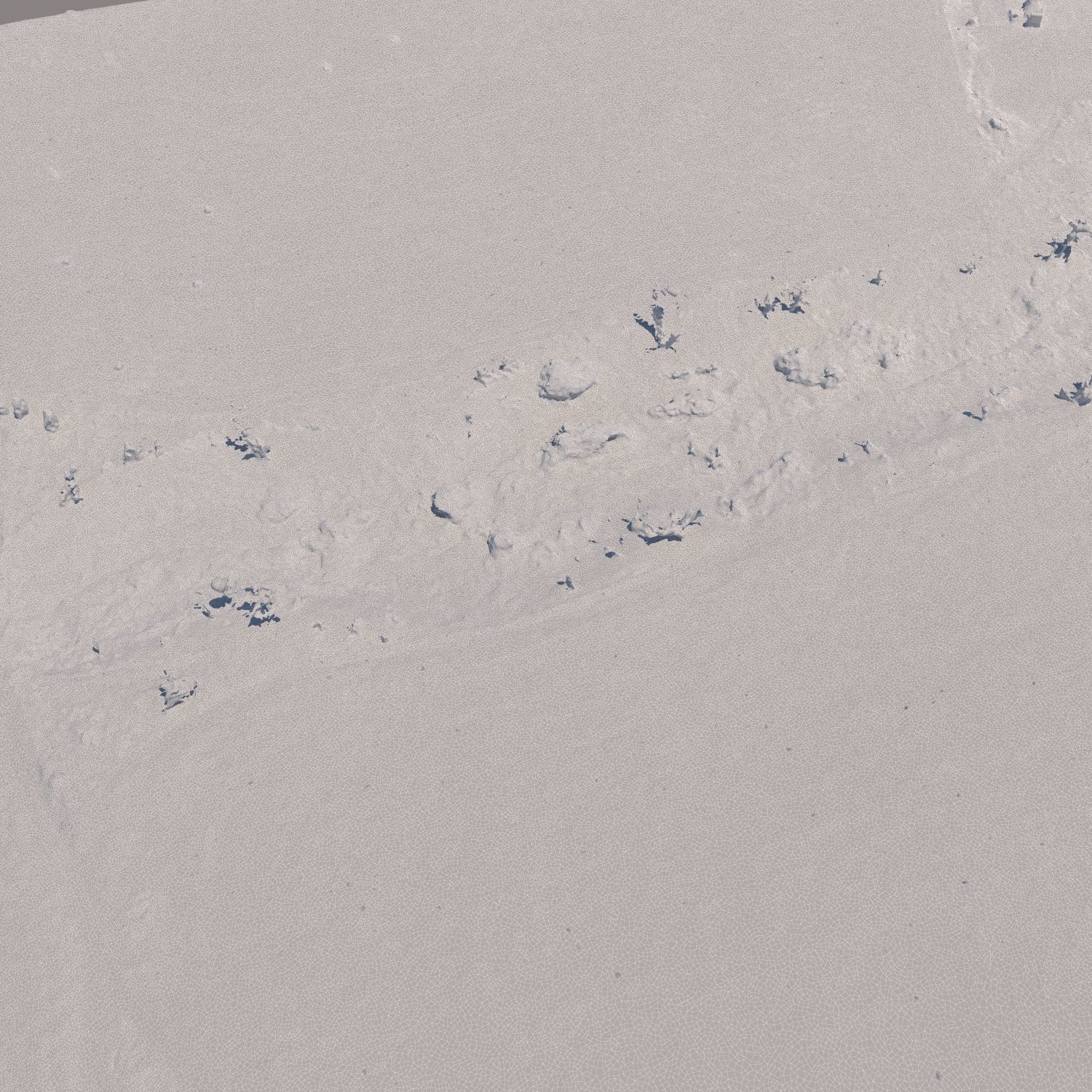 Aerial scan 21 3D model_5