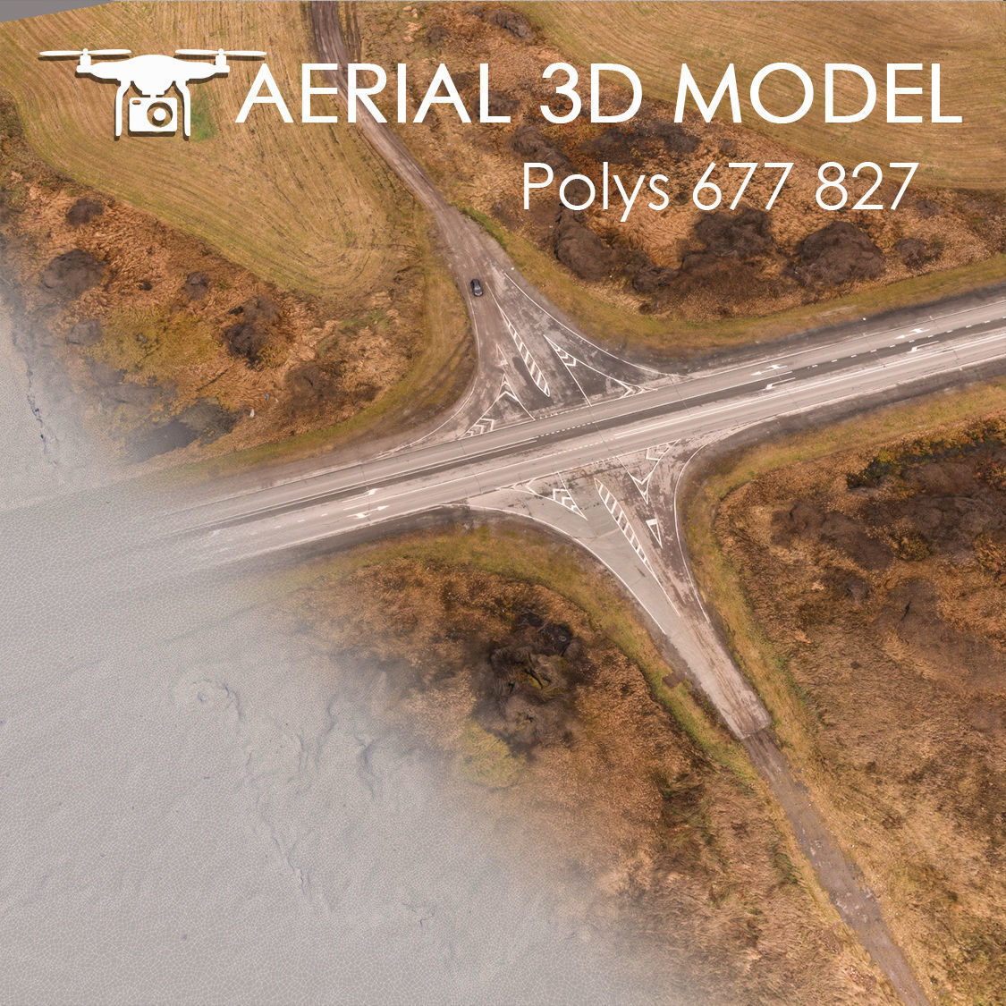 Aerial scan 25 3D model_1