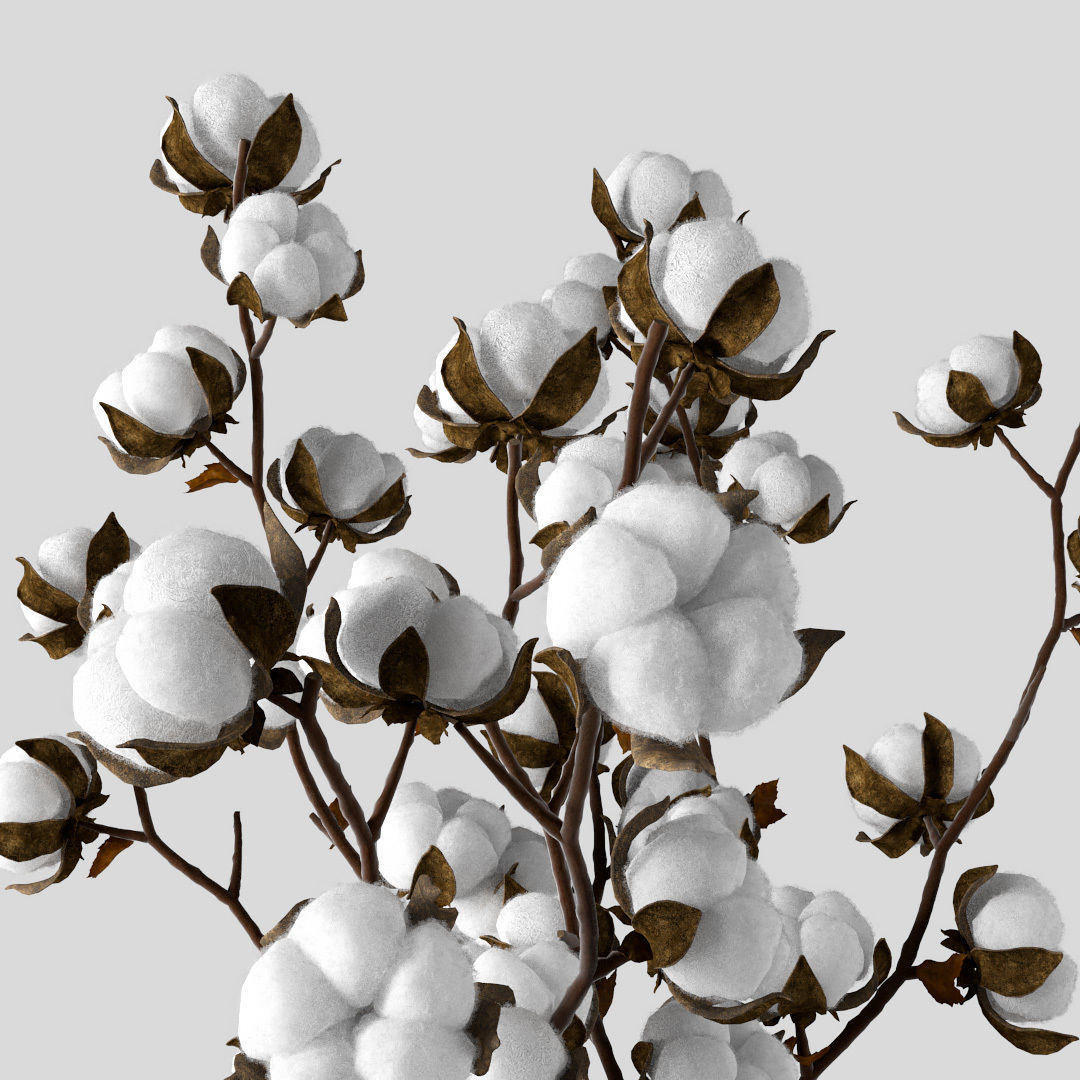 Cotton in a jug 3D model_2