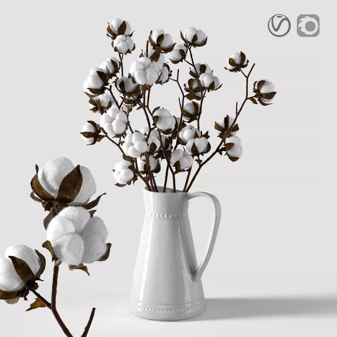 Cotton in a jug 3D model_0