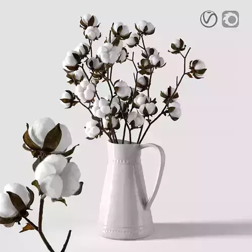 Cotton in a jug 3D model