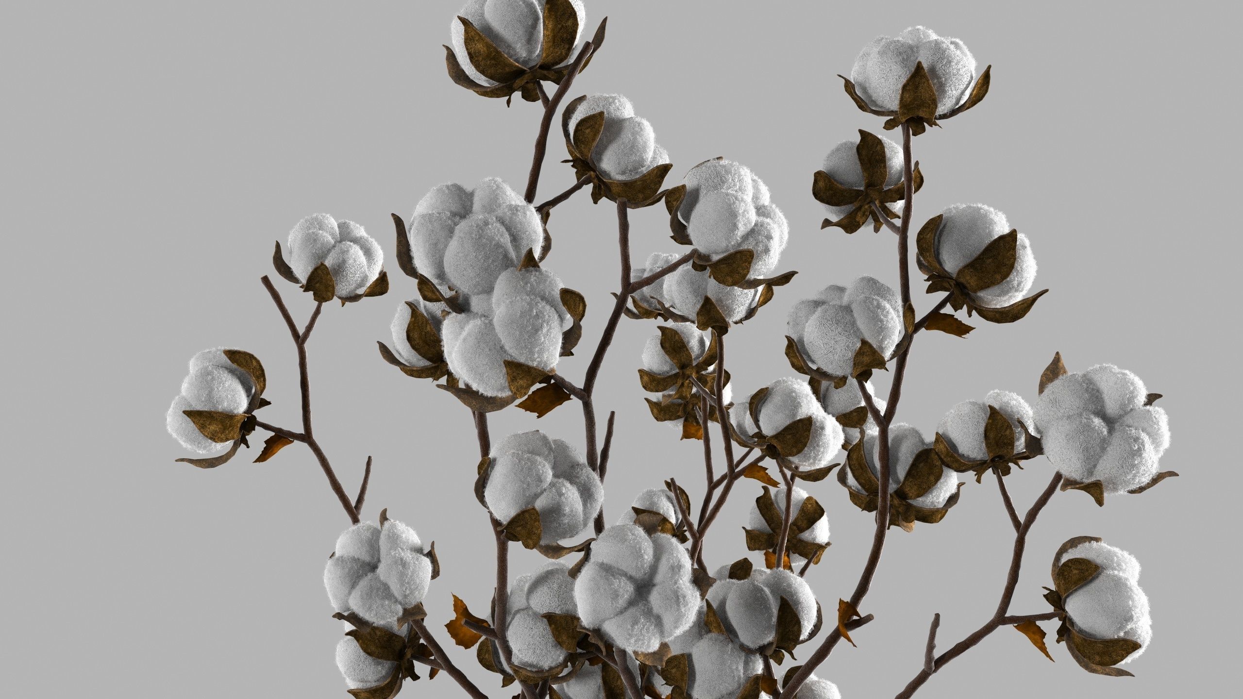 Cotton in a jug 3D model_3