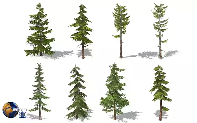 Pine Tree Collection Pack Lowpoly 3d model 