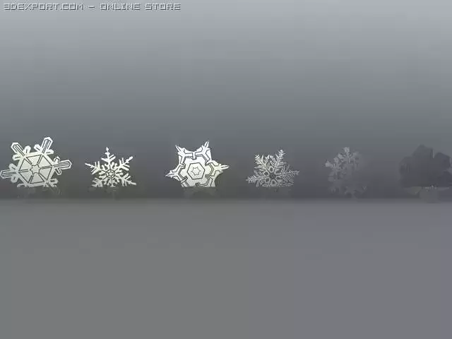 Snowflakes group of