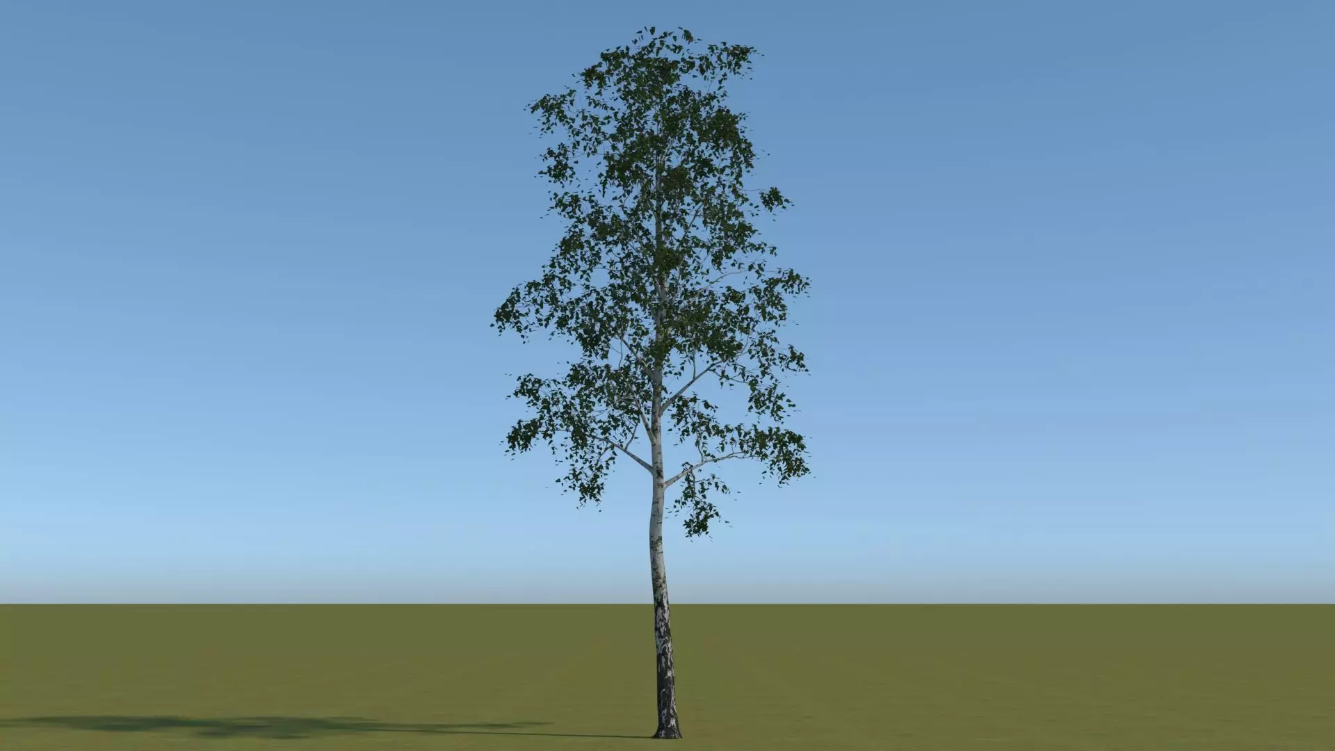 18 Trees Free low-poly 3D model