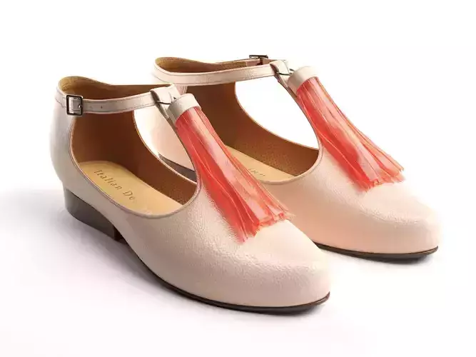 Tassel Spritz Shoes 3D model