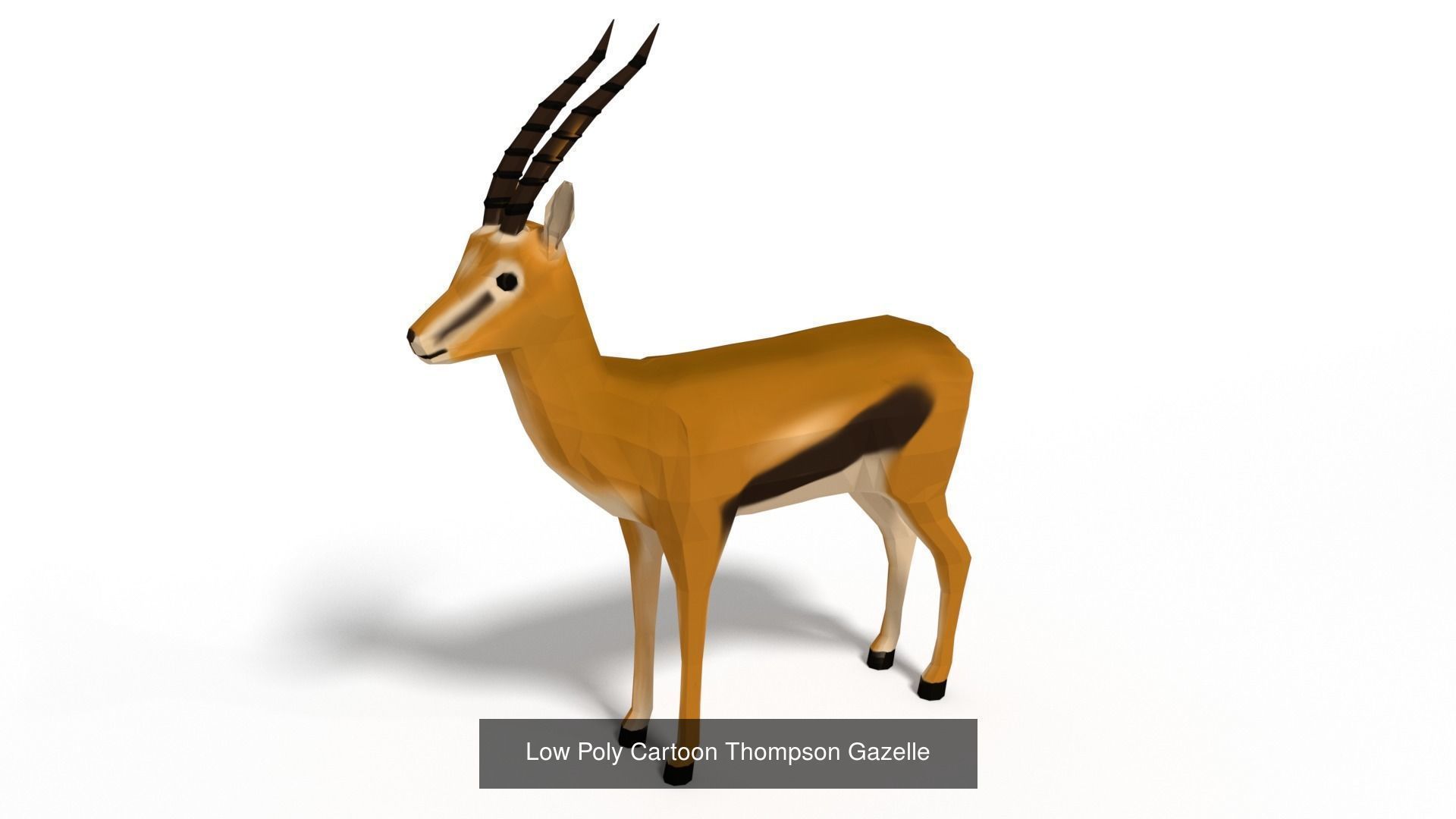 Low Poly Cartoon African Antelopes Pack 3D Model Collection_2