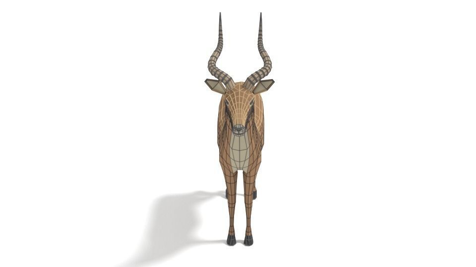 Low Poly Cartoon African Antelopes Pack 3D Model Collection_7