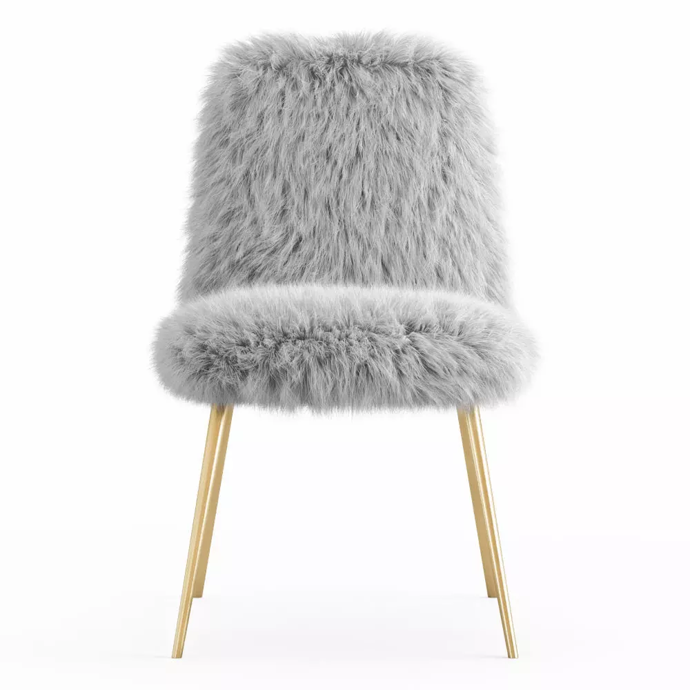 Alaina Side Chair 3D model_0