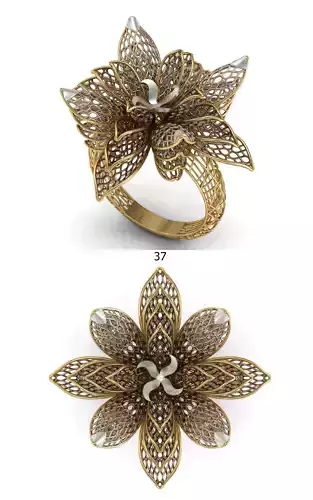 PRINTABLE RING