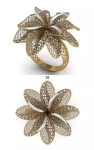PRINTABLE RING