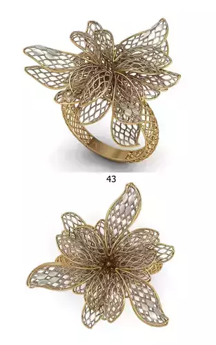 PRINTABLE RING