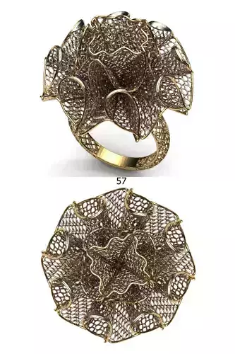 PRINTABLE RING