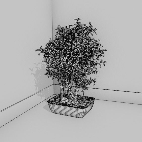 House plant 001 3D model_2