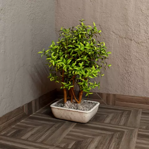 House plant 001 3D model_0