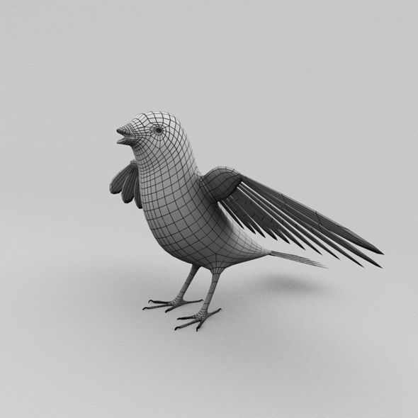 Bird base Free low-poly 3D model_4