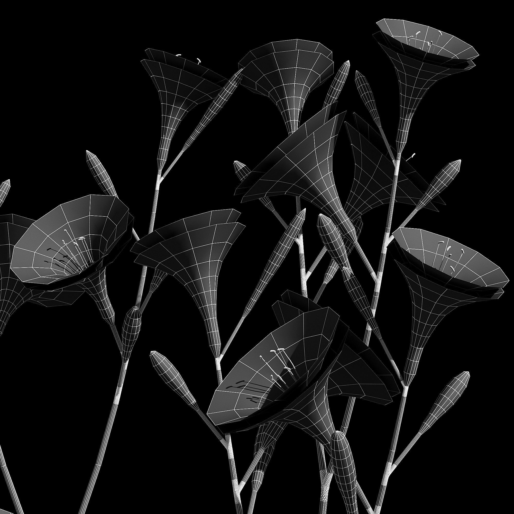 Hemerocallis lilies - lilies 3D model_8