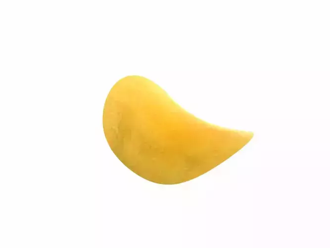 Potato Chip