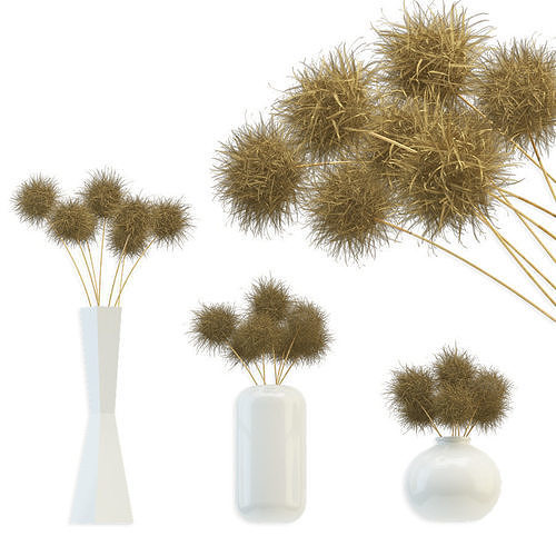 Bouquet of dried round flowers 3D model