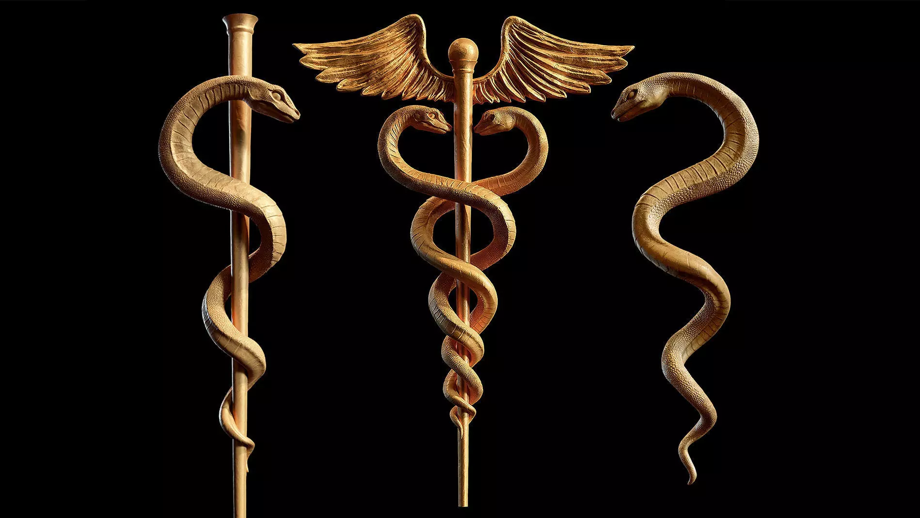 Caduceus Medical symbol 3D Model Collection_0