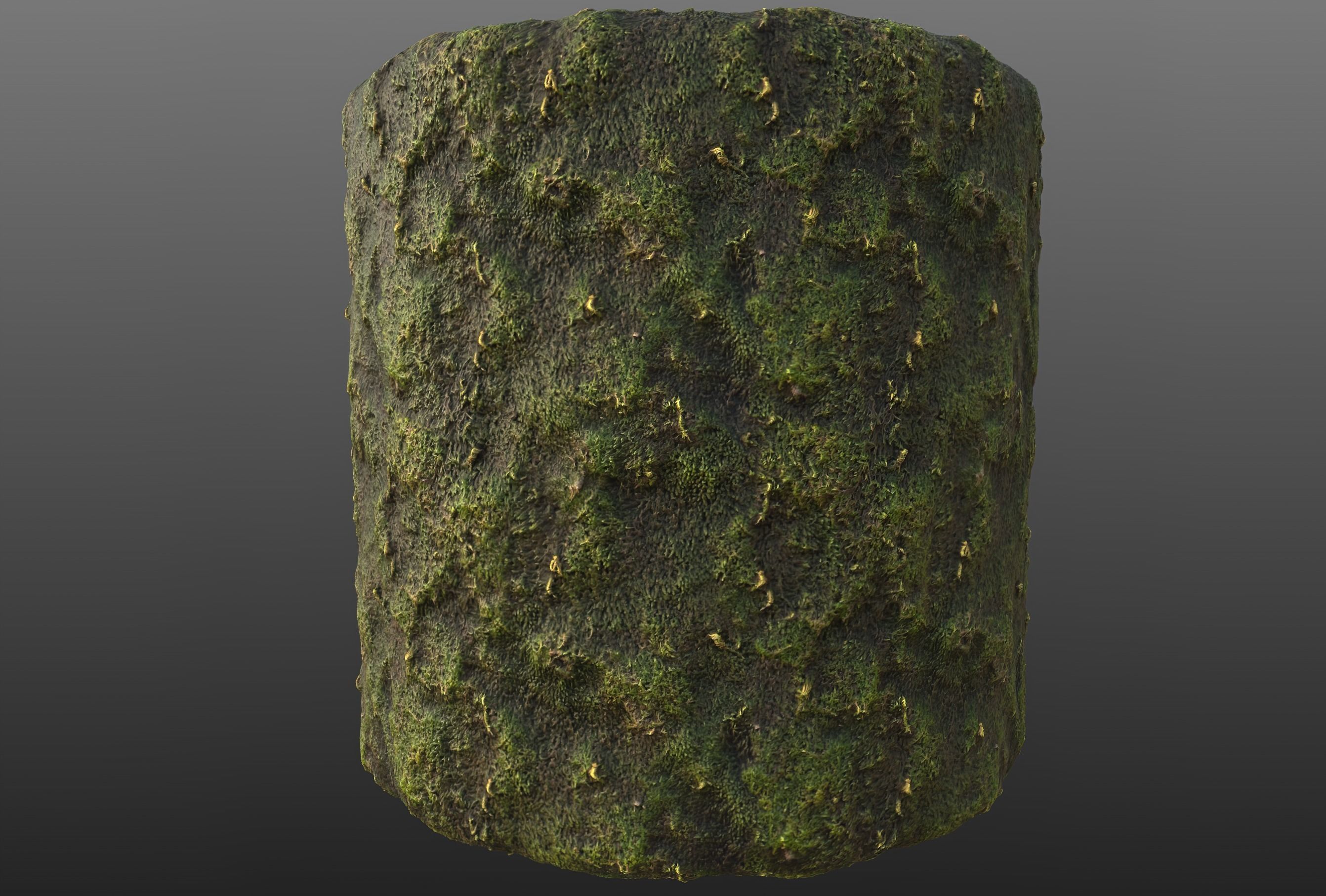 Moss PBR Material Texture Texture_1