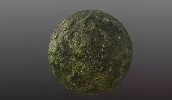 Moss PBR Material Texture