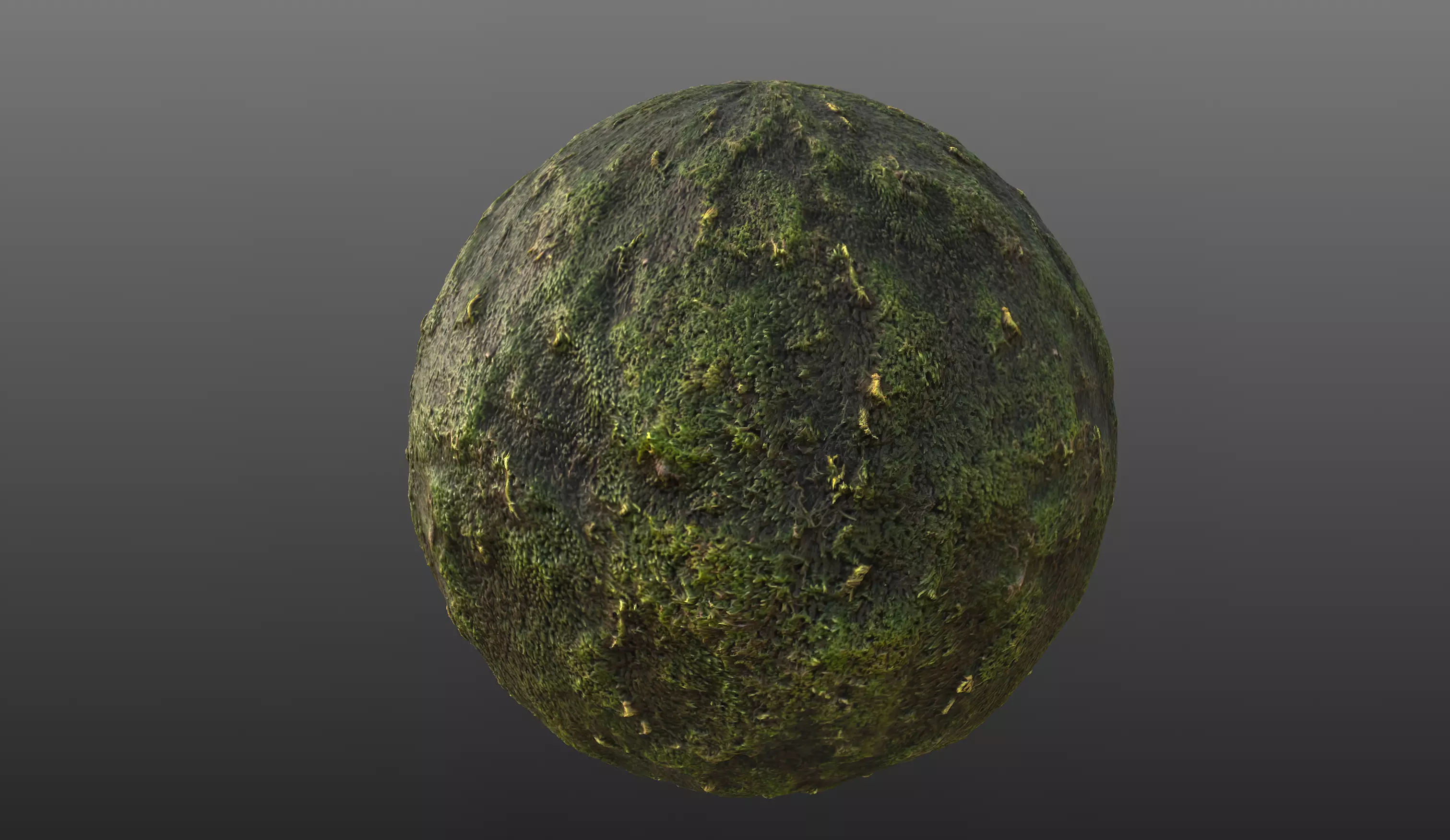 Moss PBR Material Texture Texture_0