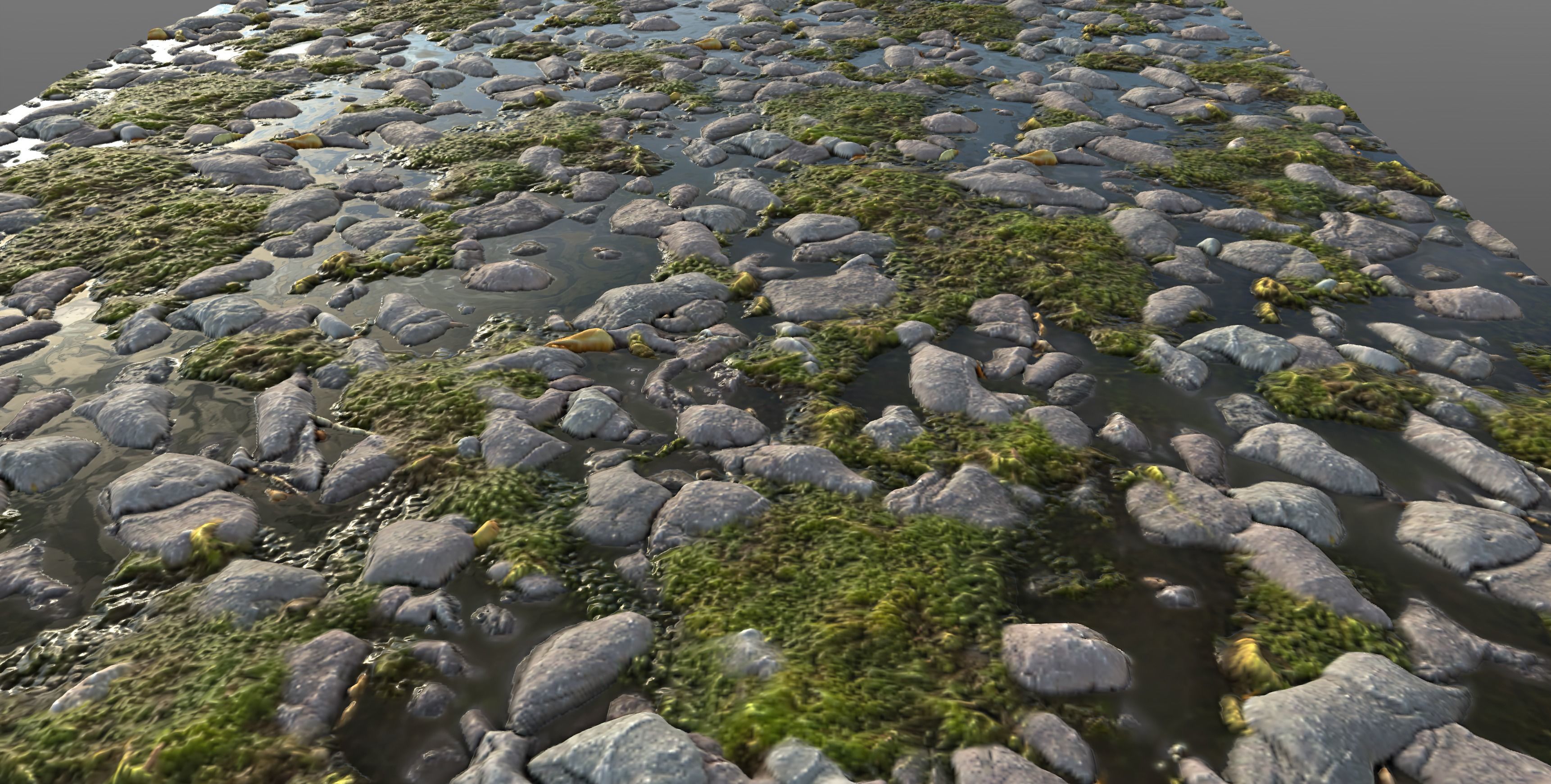 Mossy River Stones 002 PBR Material Texture_1