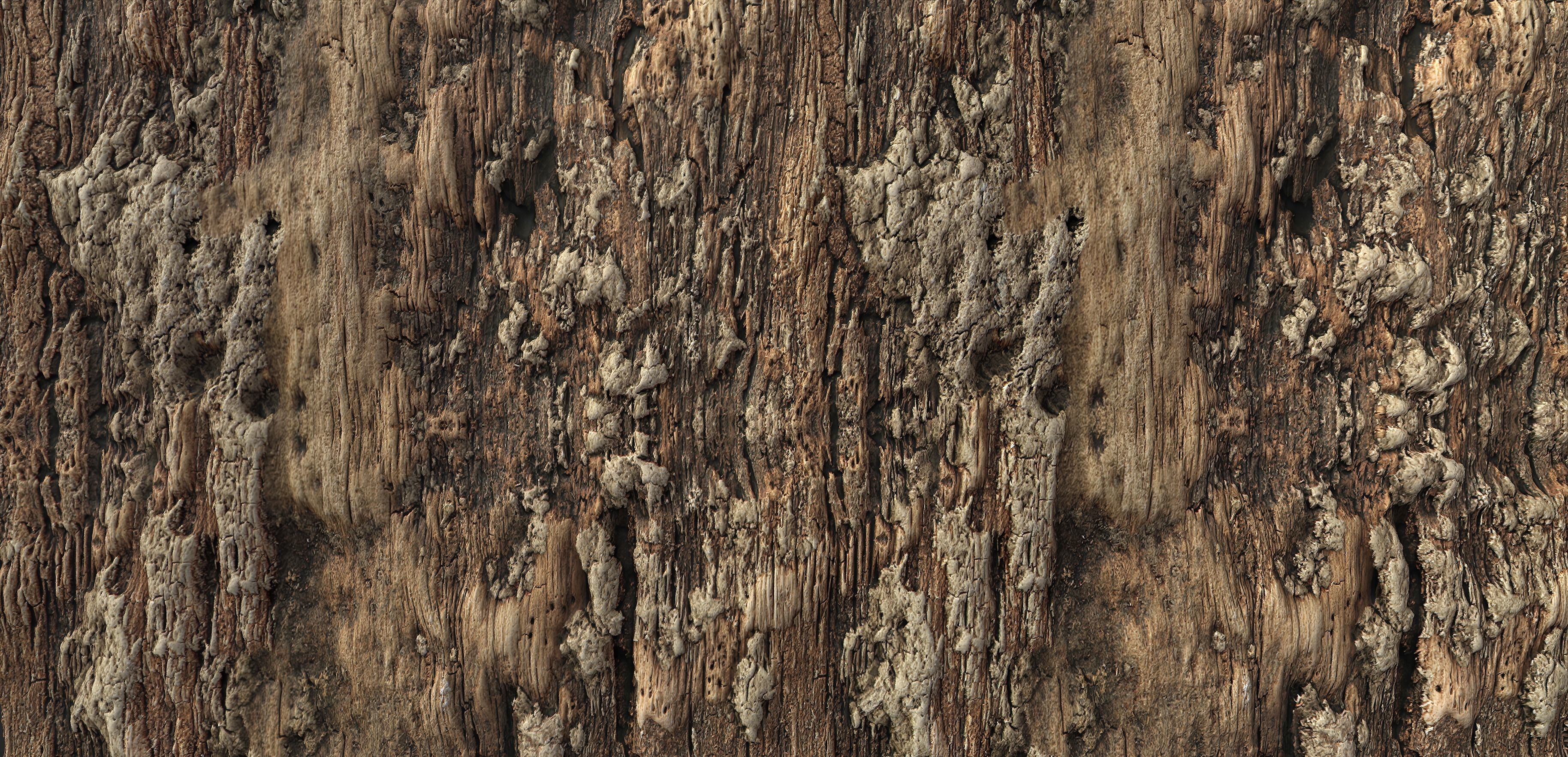 Tree Bark 006 Material Texture_2