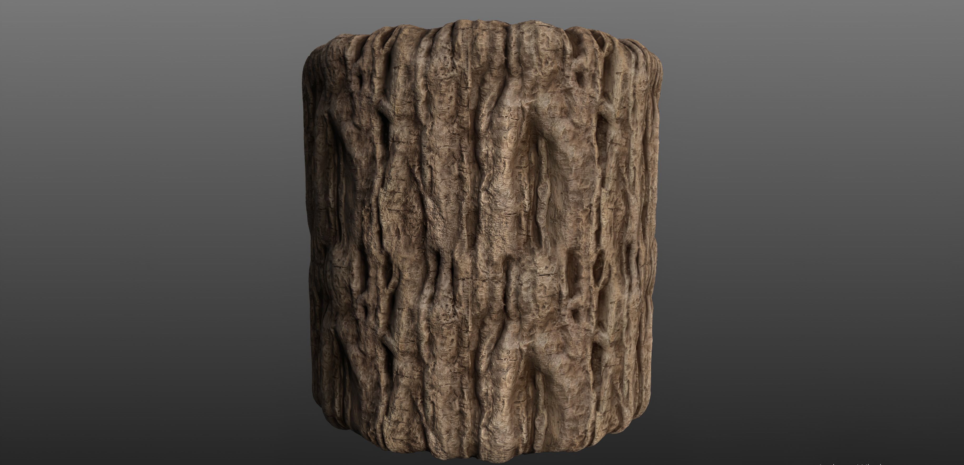 Tree Bark 007 Material Texture_1