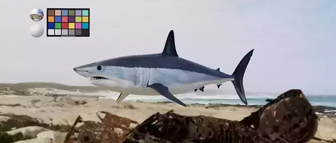 Shark  Mako model with materials 3D model