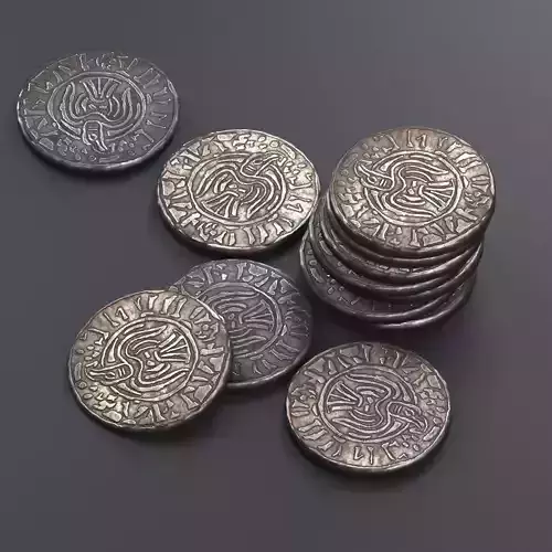 Viking coin