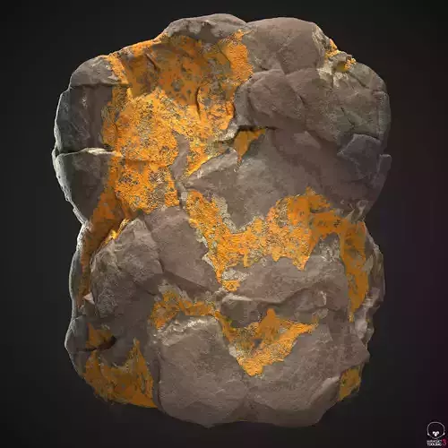 Lichen Covered Rock Material