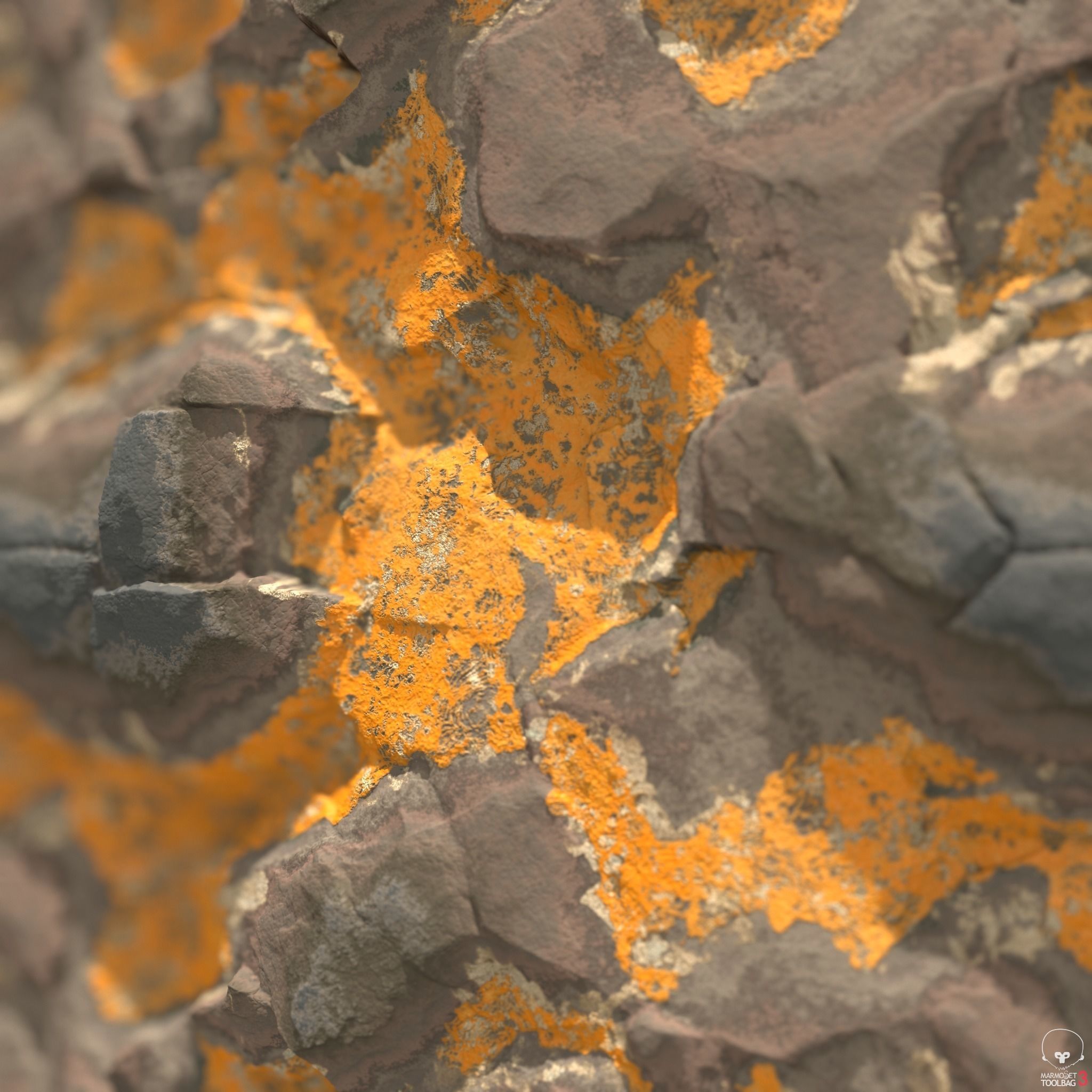 Lichen Covered Rock Material Texture_1