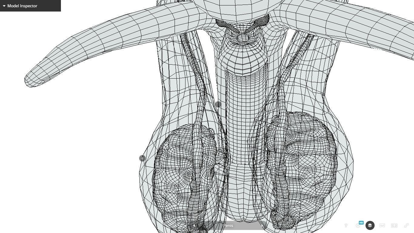 Male Reproductive System Low-poly 3D model_30